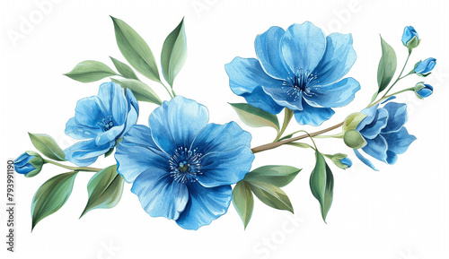 blue flowers isolated on white