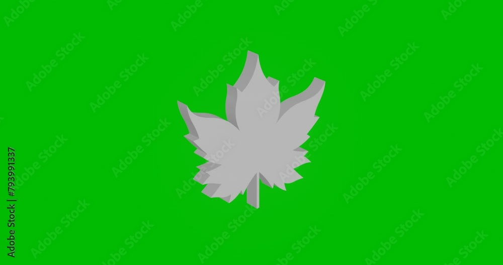 Animation of rotation of a white maple leaf symbol with shadow. Simple and complex rotation. Seamless looped 4k animation on green chroma key background Animation of rotation of a white maple leaf symbol with shadow. Simple and complex rotation. Seamless looped 4k animation on green chroma key background