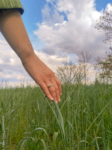 Close up view of a woman hand with a ring touching green wheat field.