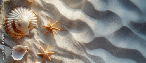 A beach background of sand with six-pointed starfish. space for text.
