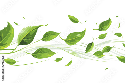 Green flying leaves wave. Organic cosmetic background. Natural herbal tea. Vegan, eco, bio design element. Leaf falling. Summer foliage ornament. Beauty product. Healthy food. Vector illustration