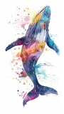 Color splash portrait design of whale