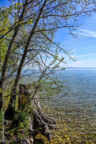 Bevaix, Cortaillod, La Pointe du grain, Neuenburgersee, Seeufer, Uferweg, Kieselstrand, Wassersport, Schifffahrt, Naturschutz, Frühling, Neuenburg, Alpenpanorama, Schweiz