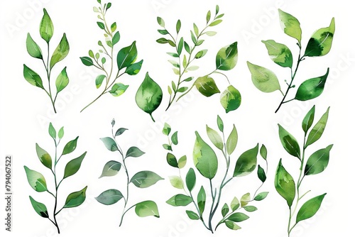 handdrawn watercolor illustration of green leaves and branches design elements for invitations and posters