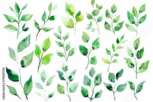 handdrawn watercolor illustration of green leaves and branches design elements for invitations and posters