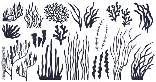 Diverse array of seaweed silhouettes for nautical themes, marine biology illustrations, and educational materials, offering a variety of shapes and sizes to enhance any ocean-related design