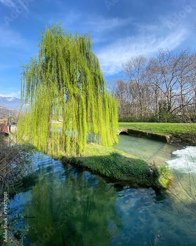 river in the park