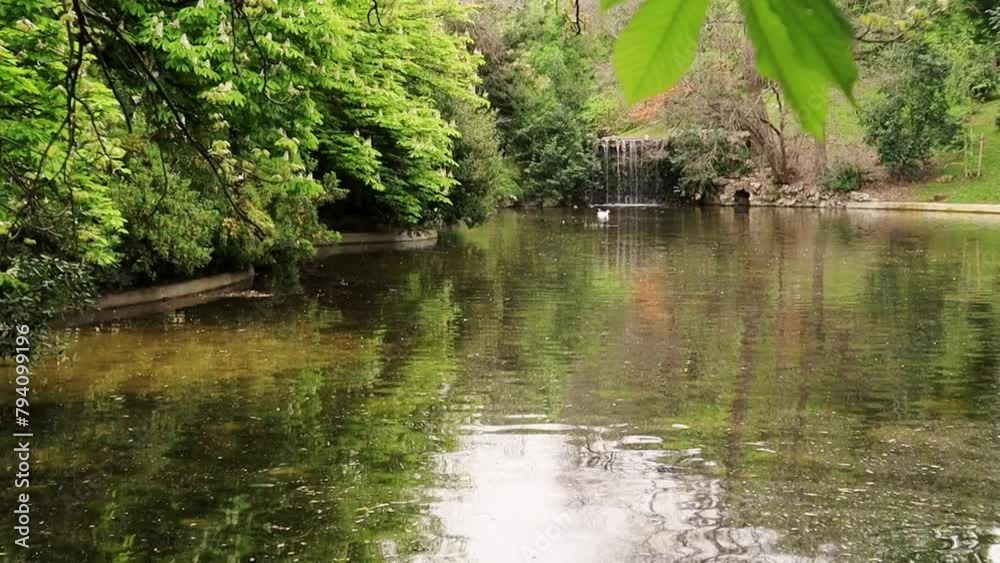 Reflection of green trees on pond water surface in a spring summer park. Natural landscape. Calm water movement flow. Parkland river Reflection of green trees on pond water surface in a spring summer park. Natural landscape. Calm water movement flow. Parkland river