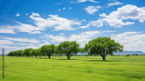 b'Green field and blue sky with trees'