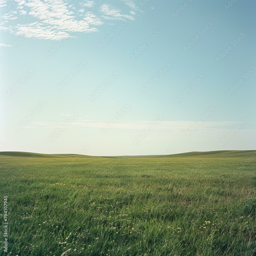 Obraz premium b'Grasslands are vast areas of land covered in grass.'