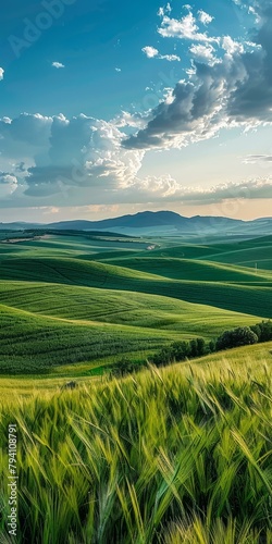 b'Green rolling hills under blue sky and white clouds'