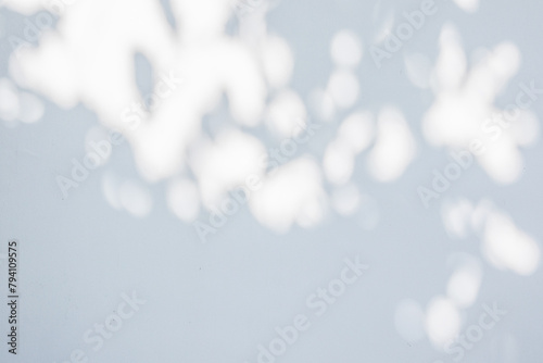 Abstract natural tree leaves shadow on white wall background photo