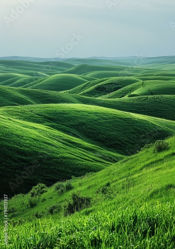 b'lush green rolling hills'