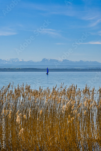 Cortaillod, Petit-Cortaillod, Neuenburgersee, Seeufer, Uferweg, Schilf, Naturschutz, Wasservögel, Dorf, Segelschiffe, Alpenpanorama, Frühling, Neuchâtel, Schweiz