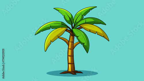 palm tree illustration