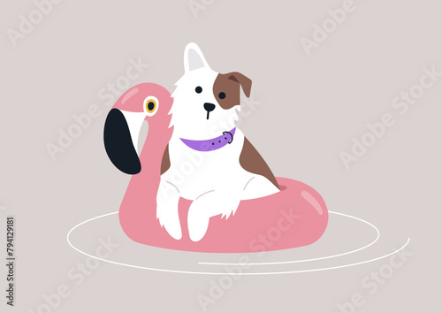 A fluffy spotted dog enjoying a swim with an inflatable flamingo life buoy, partaking in summer swimming pool party activities