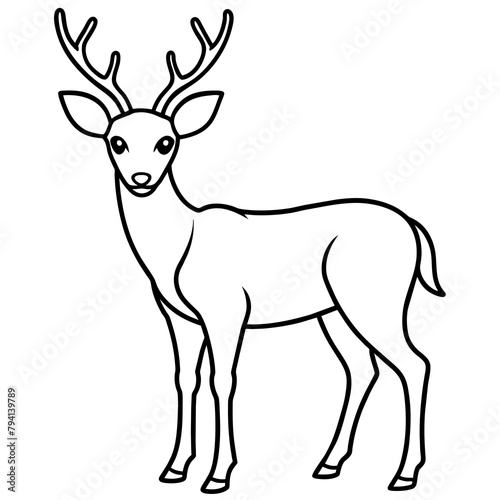 deer silhouette vector © Radha Rani