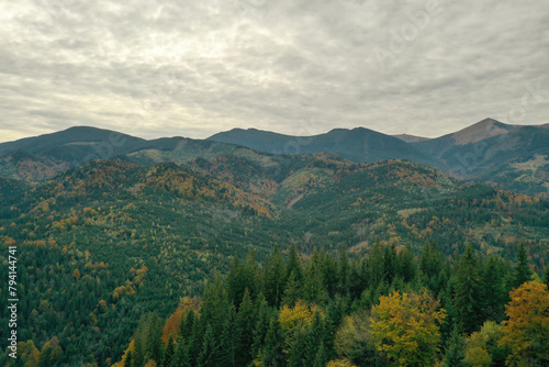 Aerial view of beautiful mountain forest on autumn day