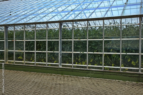 Greenhouse at Orre at the scenic route Jaeren in Norway, Europe
