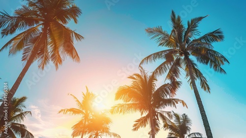 clear sky and coconut trees silhouette at sunset serene beach and summer vibe vacation getaway concept photo