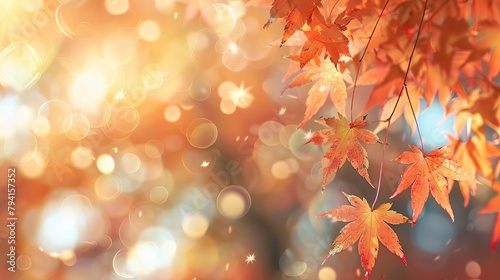 creative web banner for autumn activities featuring soft focus maple leaves and gentle bokeh