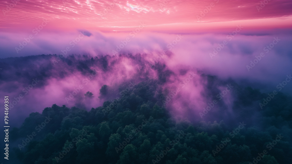 Naklejka premium A beautiful, misty forest with a pink sky in the background