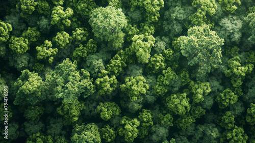 A lush green field with trees in the background