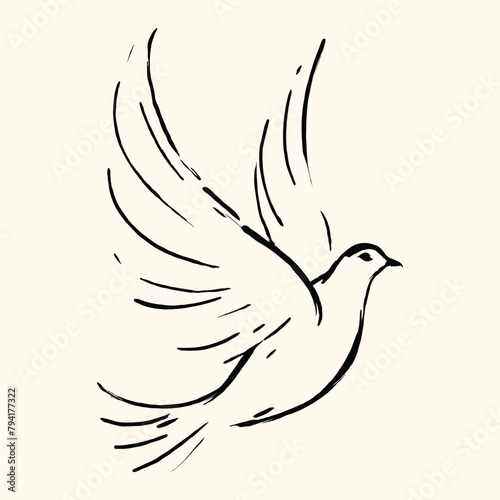 A Hand Drawn Dove Flying Line Drawing Pigeon