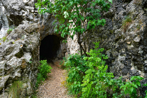 Stone carved tunnel in Nerei Gorges Natural Park, Romania, Europe © Rechitan Sorin