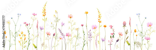 Watercolor Horizontal Banner with Wildflowers in Pastel Colors © FoxyImage