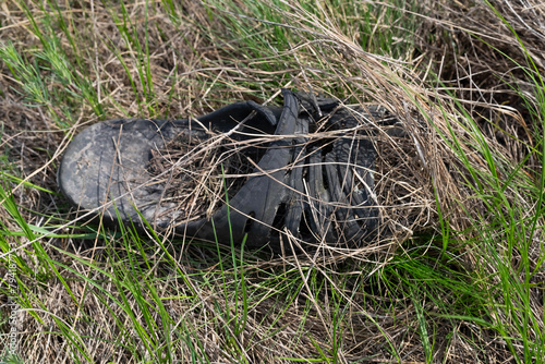There is an old slipper lying in the grass. The concept of nature pollution.