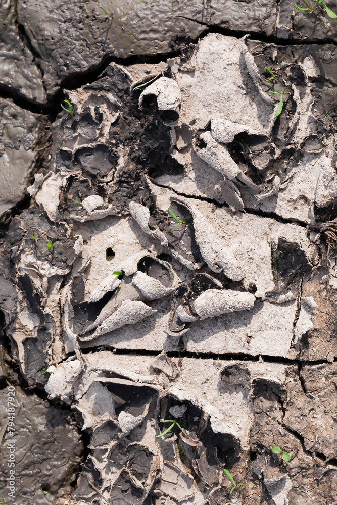 Dry ground with cracks. Drought concept. Dry ground with cracks. Drought concept.