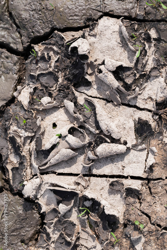 Dry ground with cracks. Drought concept.