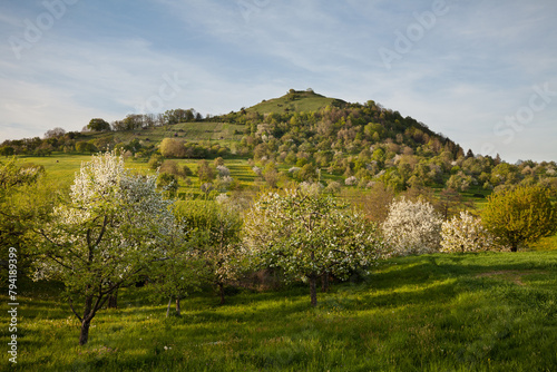 Spring blossom orchards on the Limburg near Weilheim, Swabian Alb.