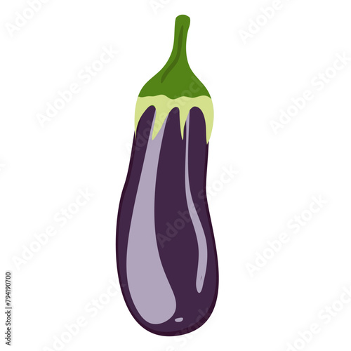 Fresh eggplant vegetable, vector flat design