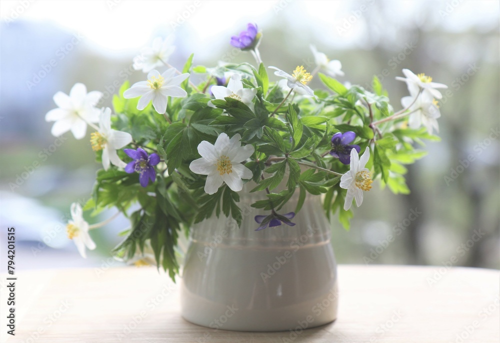 Hepática and wild wood anemones they are in a small white jug. Forest primroses.