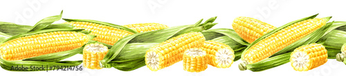 Fresh sweet corn seamless border. Hand drawn watercolor illustration isolated on white background (ID: 794214756)