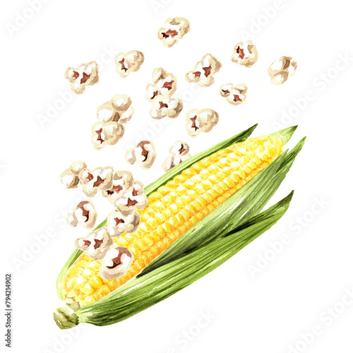Popcorn and fresh corn comb.  Hand drawn watercolor illustration, isolated on white background (ID: 794214902)