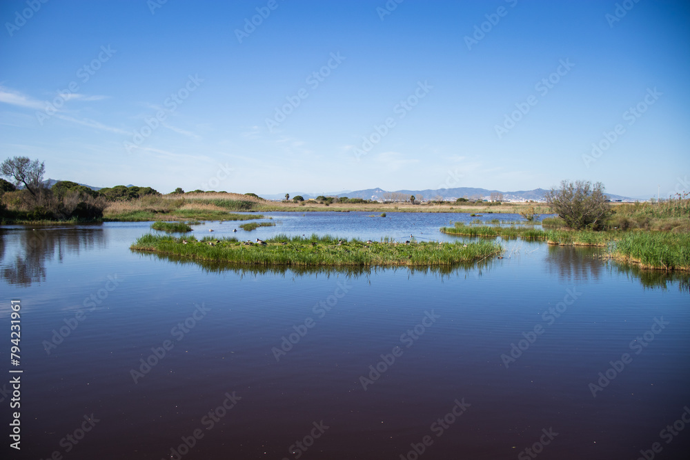 Delta del Llobregat in Barcelona, Spain, on a sunny day, blue sky, green grass, field, plants and birds,vegetation around the delta,earth day