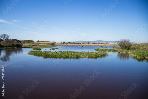 Delta del Llobregat in Barcelona, Spain, on a sunny day, blue sky, green grass, field, plants and birds,vegetation around the delta,earth day