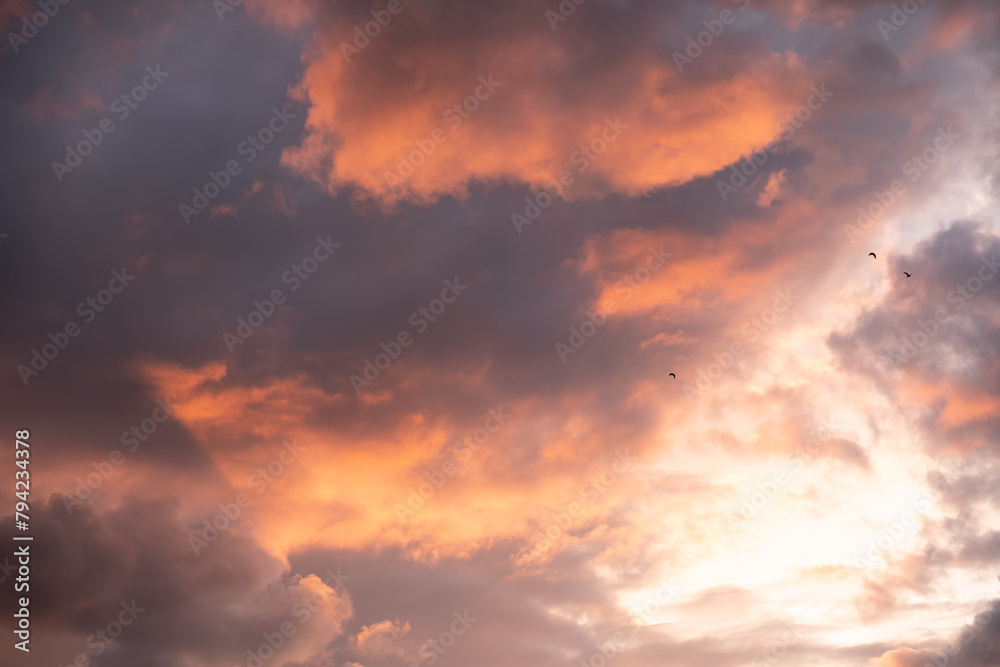 Dramatic stormy sunset sky with cumulus clouds and sun rays in blue-orange tones. Seagulls fly upward in the corner