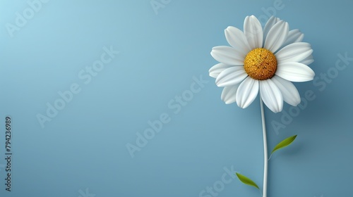 White flower with yellow center on blue background © Boomanoid