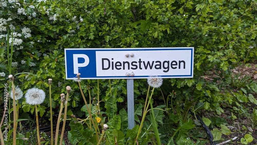 Schild für Dienstwagen parken im Grünen 