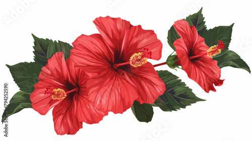 two red flowers with green leaves on a white background