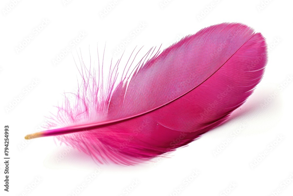 A delicate pink feather isolated on a clean white background. Perfect for adding a soft touch to any design project A delicate pink feather isolated on a clean white background. Perfect for adding a soft touch to any design project