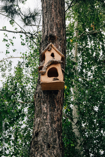 Birdhouse on a tree. House for birds. © Александр Малев