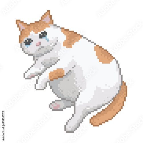 Fat cat crying with sadness, pixel art meme