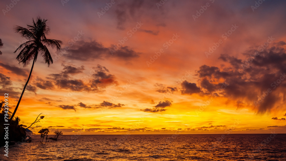 A sunset with ocean and palm tree at 4k resolution
