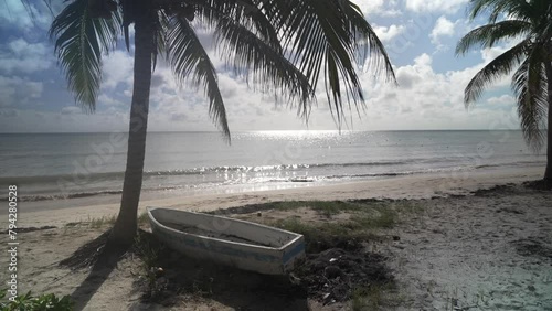 View of palm trees and boat on beach near Puerto Morelos, Caribbean Coast, Yucatan Peninsula, Mexico, North America photo
