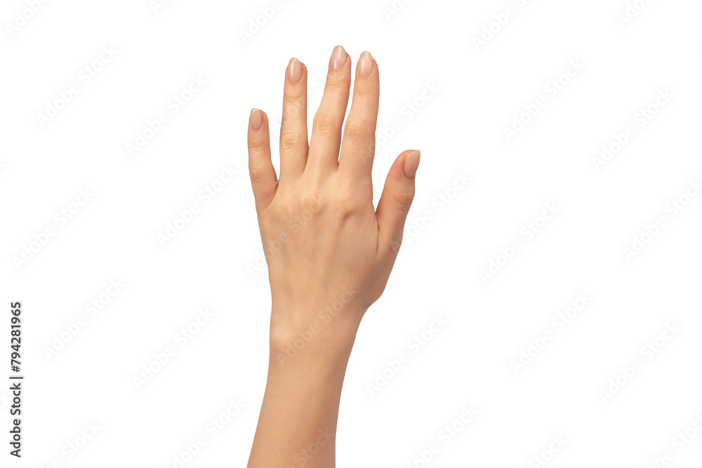 Woman hands isolated on a white background. Nude nail polish. Woman hands isolated on a white background. Nude nail polish.